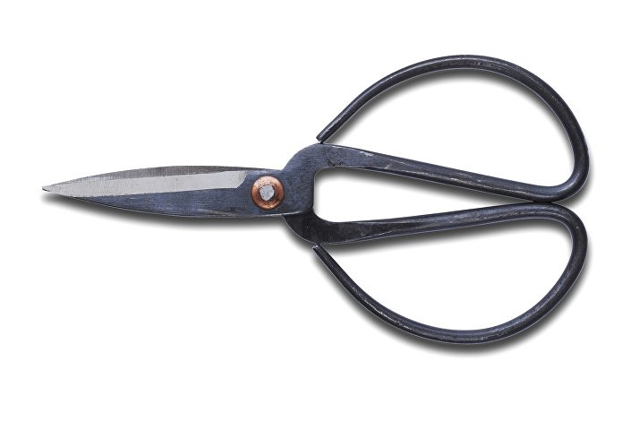 502311_Kitchen Scissors