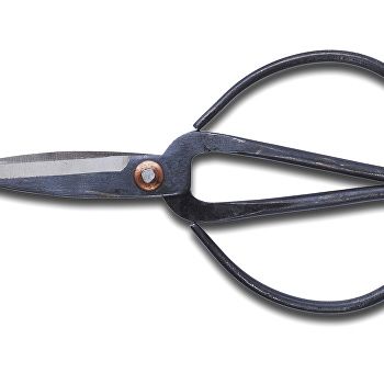 Scissors